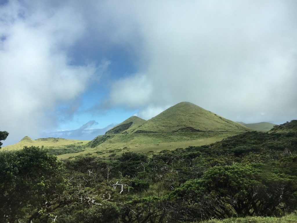 Pico Azores landscape