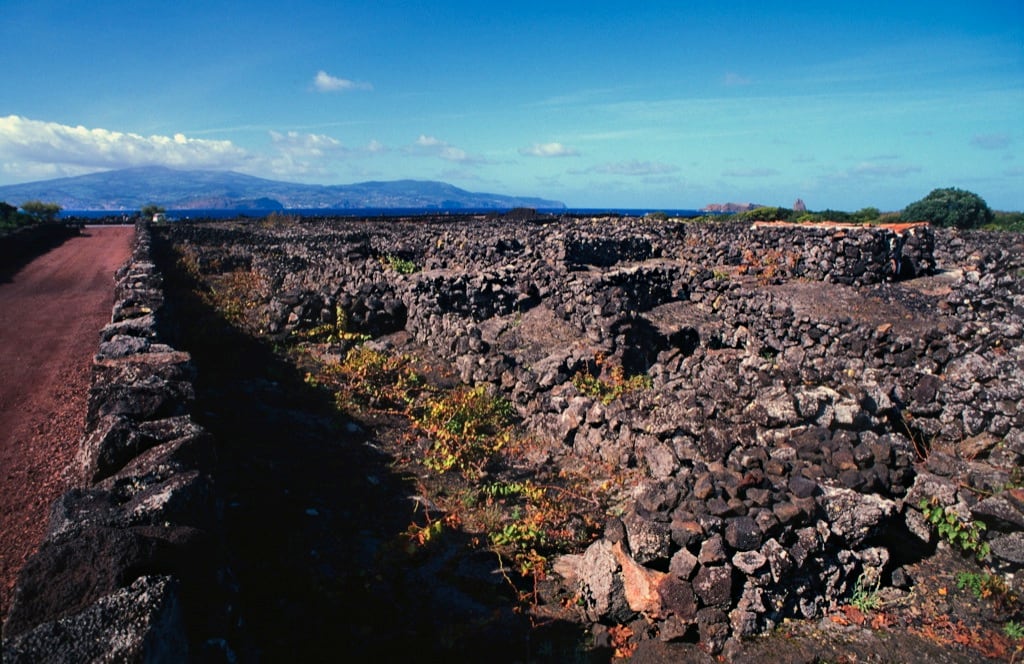 Muros de pedra do Pico Açores