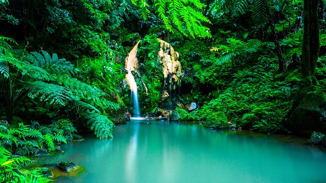waterfall Azores