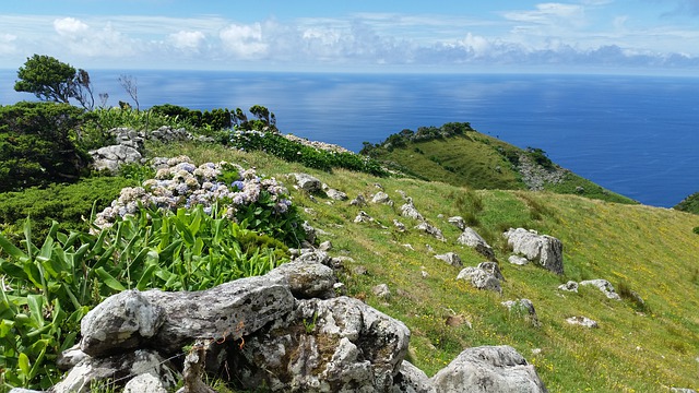 Azores landscape