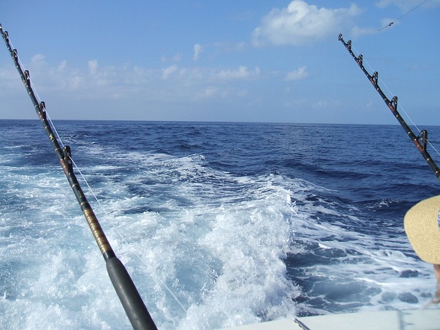 big game fishing Azores 1