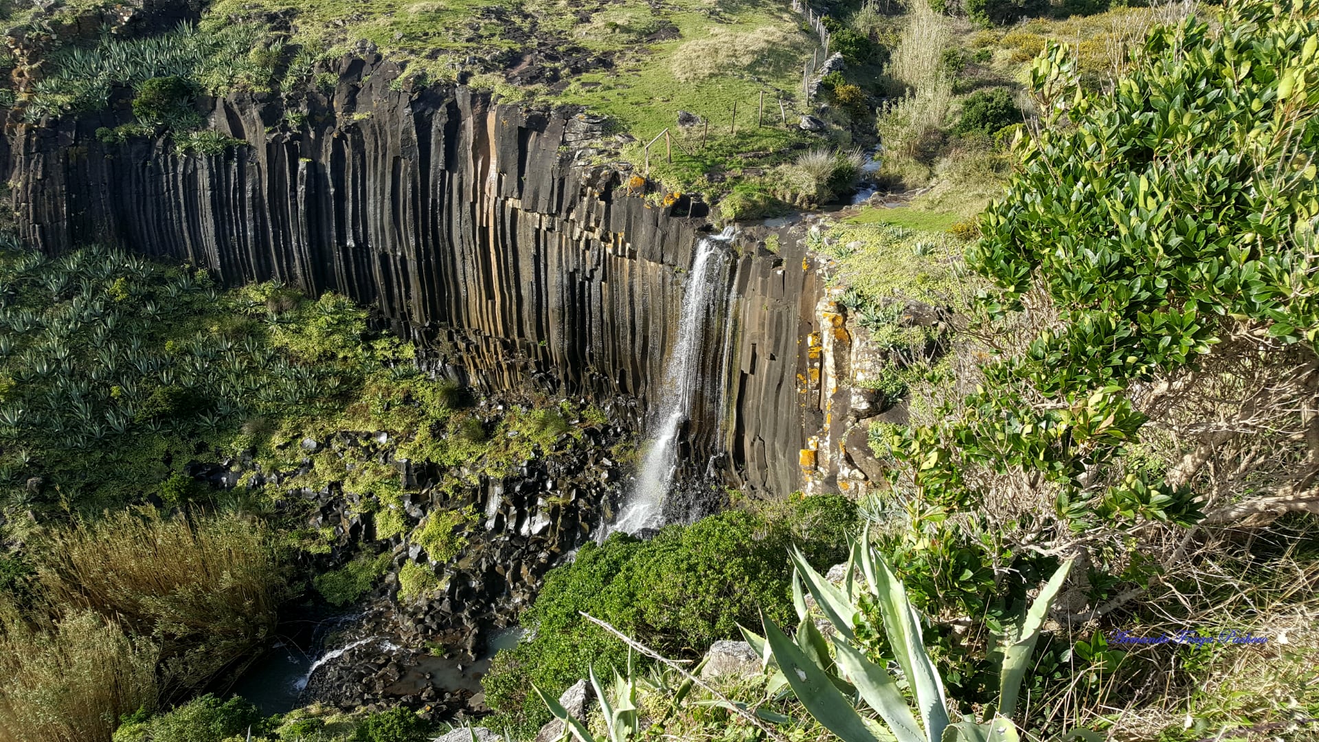 Ribeira de Maloás - Santa Maria - Açores