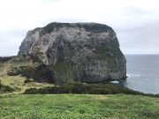 Visitfaial, guided tours in Faial and Pico