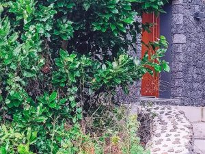Garden House - Quinta do Abacate