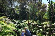 Full day privat tour of Faial with Visitfaial