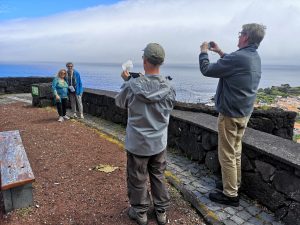 Visitfaial, guided tours in Faial and Pico