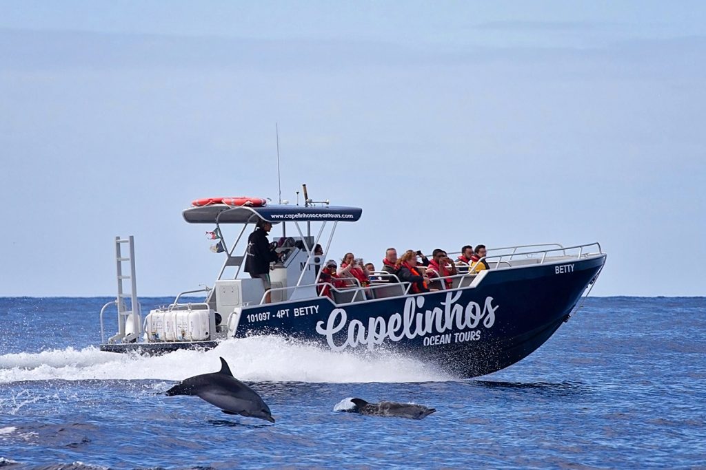 Tour oceanico di Capelinhos - Guida alle Azzorre