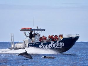 Capelinhos Ocean Tour - Guide to the Azores