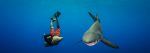 Norberto Diver - Guide to the Azores - Plongée avec les requins