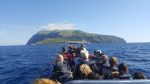 OC Experience - Guide to the Azores - Tour Corvo