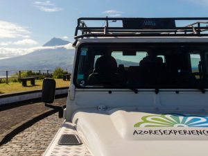Azores Experience - Guia dos Açores - Volta completa à ilha - Faial