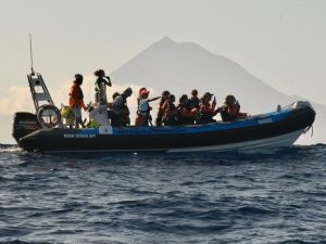 Azores Experience - Guia dos Açores - Passeio Privado de Observação de Cetáceos - Faial