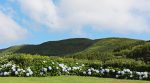 Casas da Boavista - Guide to the Azores - Faial