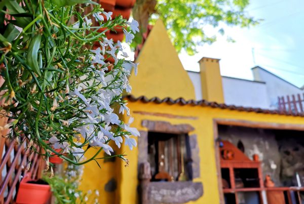 O Refugio - Guide to the Azores - patio-flowers