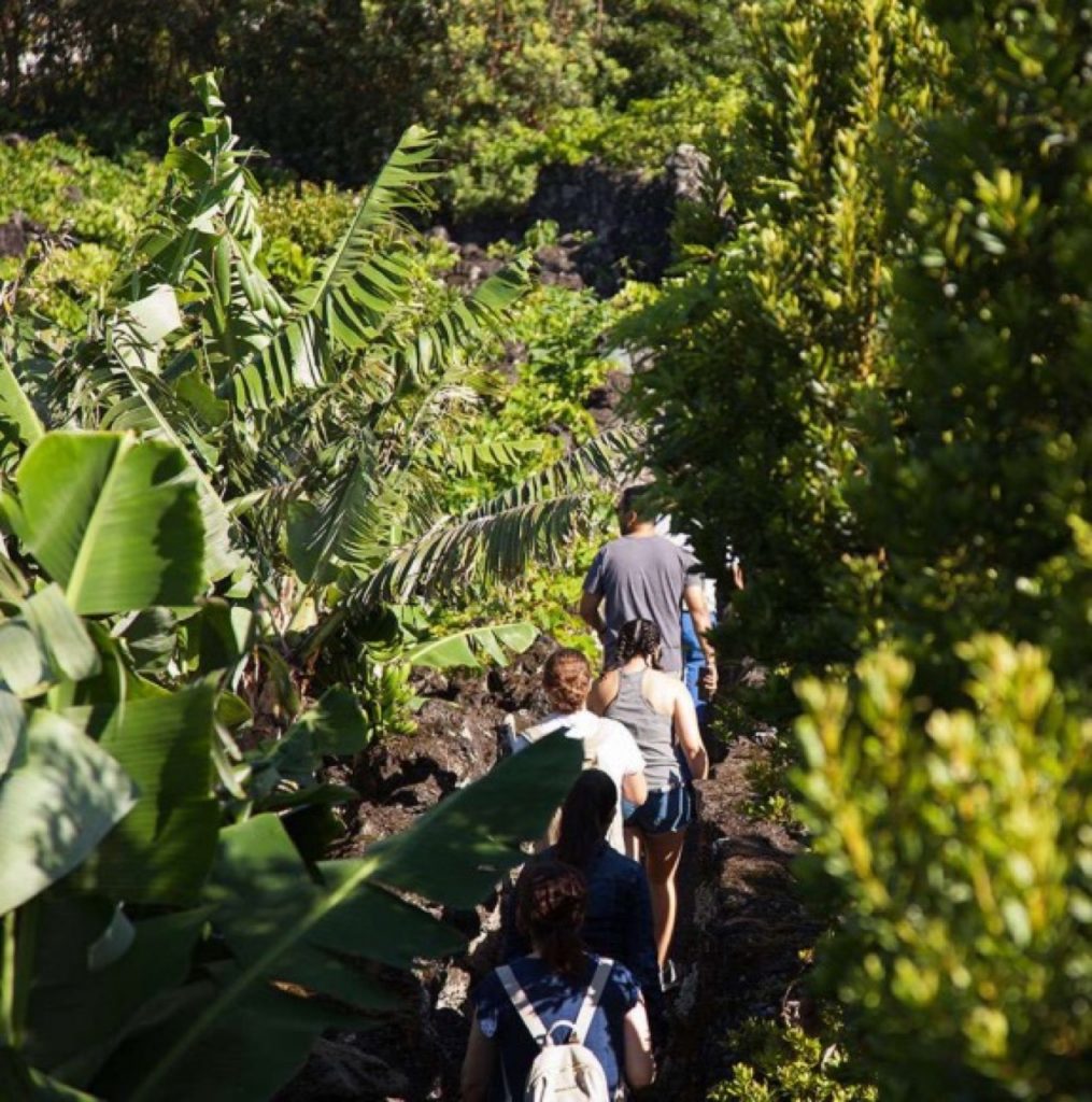 La nostra isola - Guida alle Azzorre - Banana Trip Pico