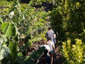 Our Island - Guide to the Azores - Banana Trip Pico