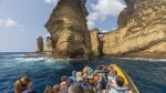 Terra Azul - Guide to the Azores - Whale Watching & Islet Boat Tour