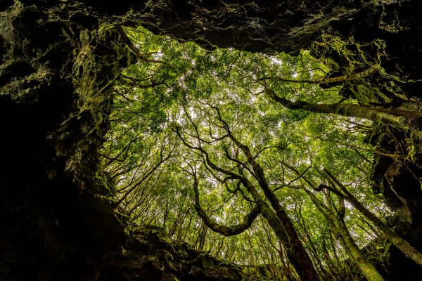 Tripix - Guide to the Azores - Caving Half Day Tour