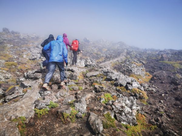 Tripix - Guia dos Açores - Escalada do Monte Pico