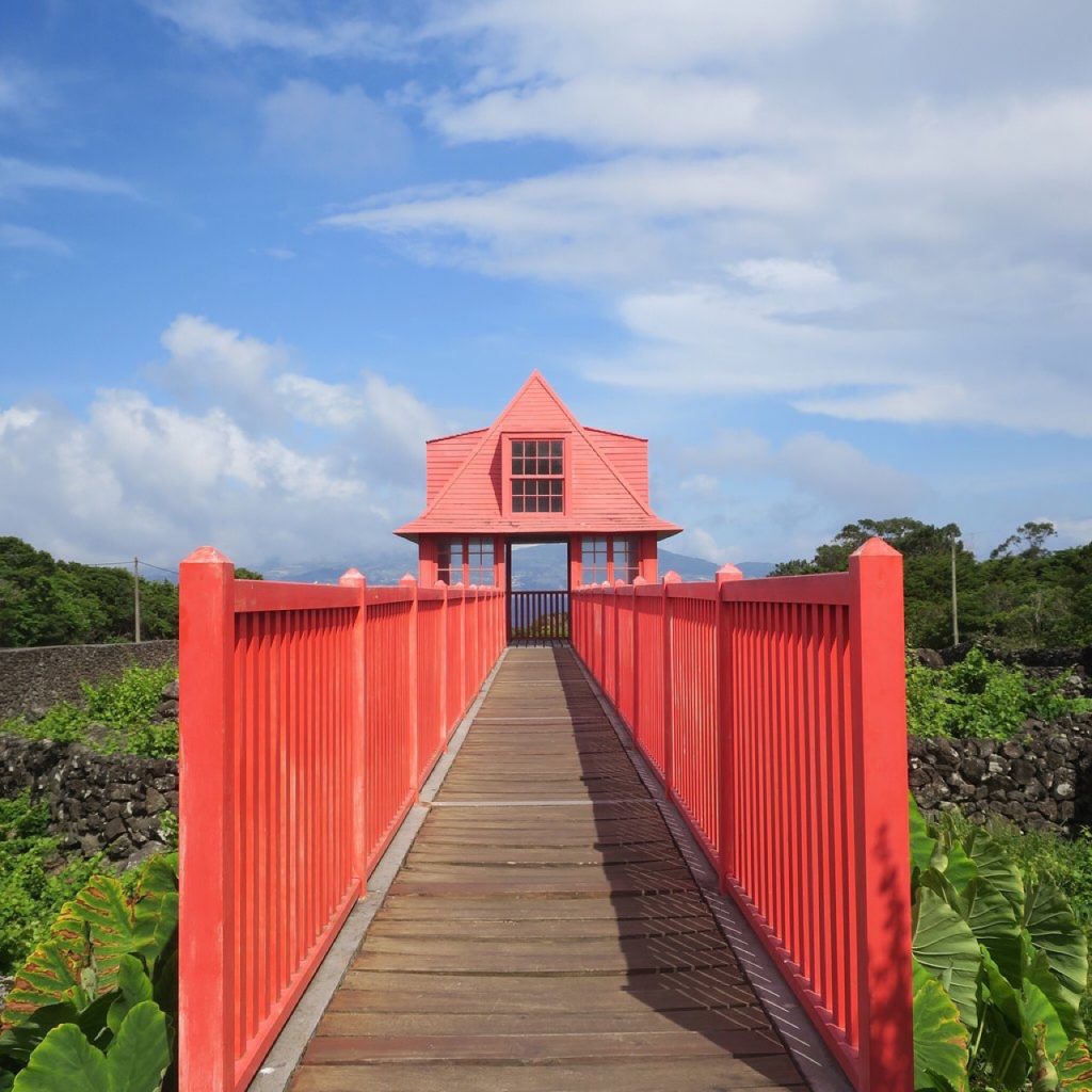 Tripix - Guia dos Açores - Excursão de dia inteiro ao Pico