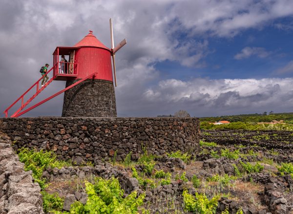 Tripix - Guia dos Açores - Passeio de Meio Dia ao Pico