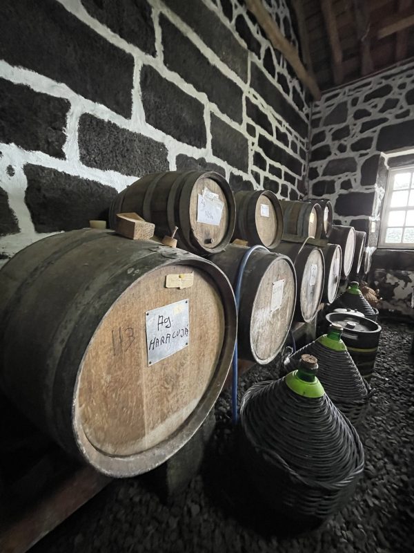 Tripix - Guia dos Açores - Visita de dia inteiro ao vinho
