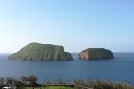 Isola di Terceira - Tour di un giorno intero in pulmino - immagine 5