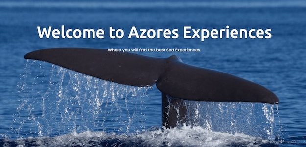 cropped Azores Experience Guide to the Azores Banner 1