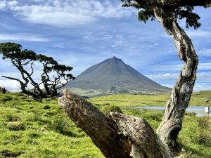 Excursão de dia inteiro ao Pico - Hominis Natura - Guia dos Açores