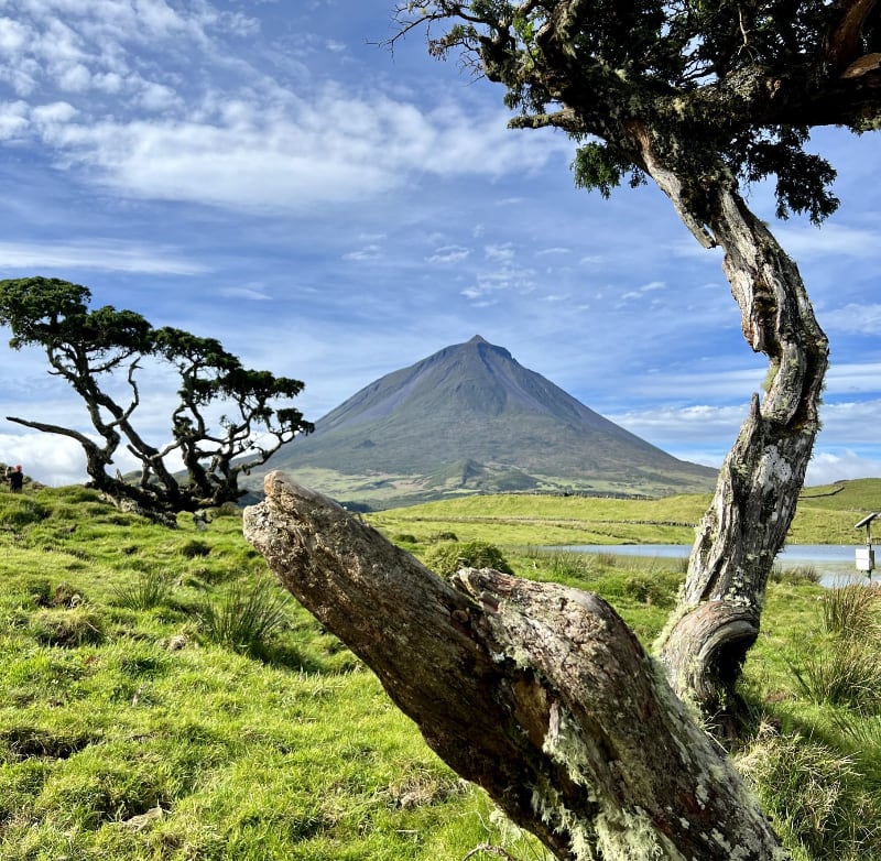 Excursão de dia inteiro ao Pico - Hominis Natura - Guia dos Açores