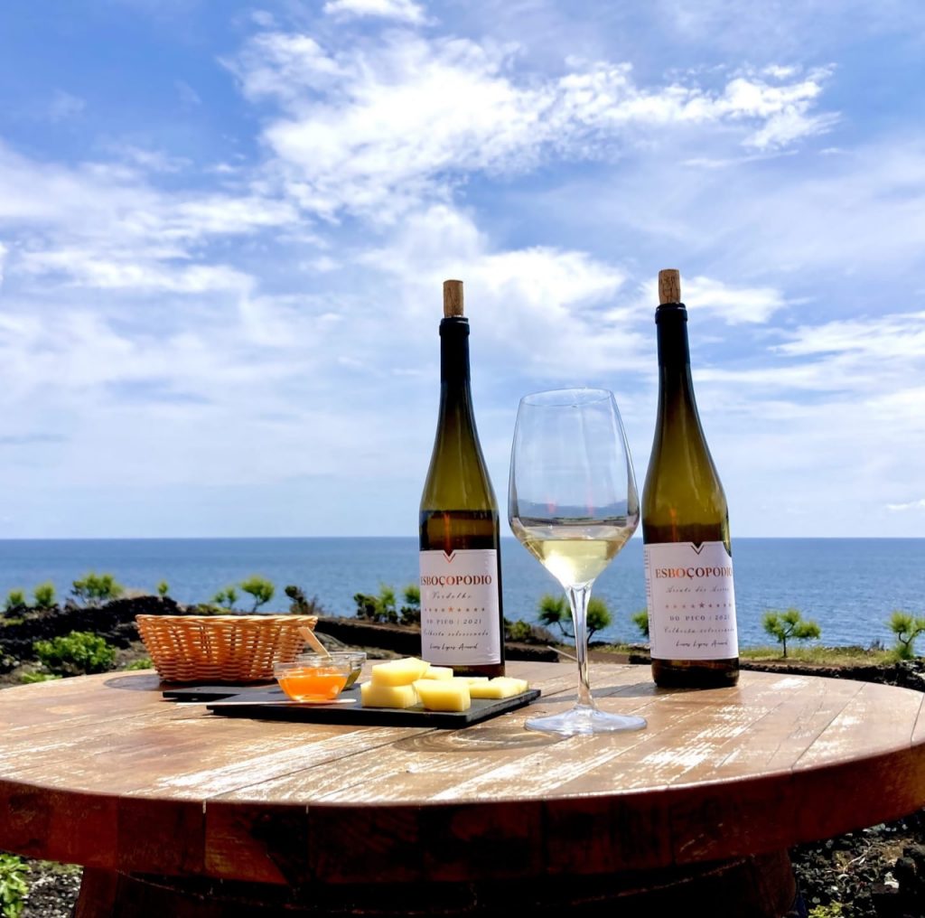 Excursão de dia inteiro ao Pico com prova de vinhos - Hominis Natura - Guia dos Açores