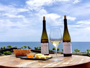 Full Day Tour of Pico with Wine Tasting - Hominis Natura - Guide to the Azores
