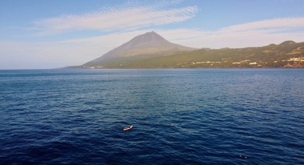 Caiaque no mar - Hominis Natura - Guia dos Açores