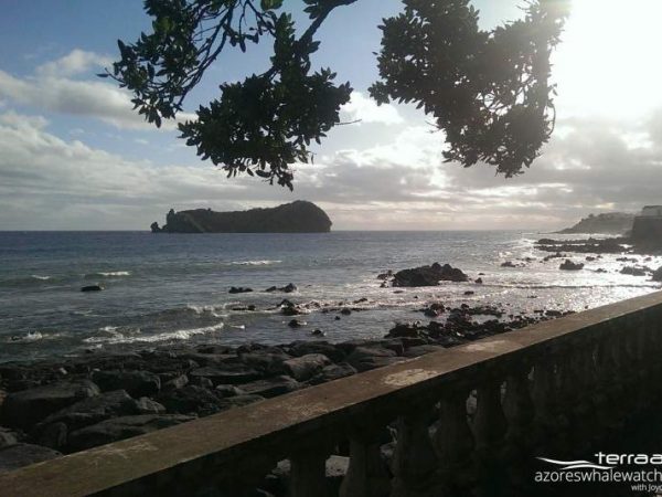 Vila Franca Islet Reserve - Guide to the Azores - São Miguel IV