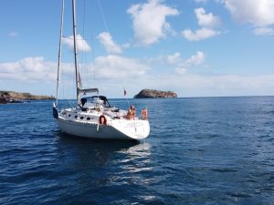 Tour in barca a vela - Mezza giornata in barca a vela privata - Sao Miguel - Guida delle Azzorre II