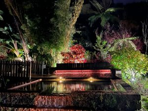 Furnas Mystic Tour - Guide to the Azores IV