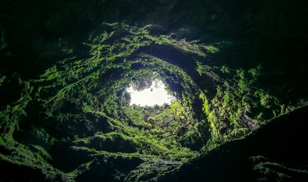 Algar do Carvao - Terceira - Guide to the Azores