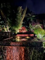 Furnas: Tour mistico (sorgenti termali e cena inclusi)
