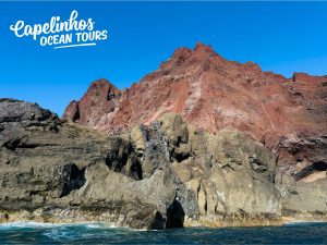 Capelinhos Ocean Tour - Guide to the Azores
