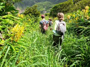 4 Lakes Trail with Lunch-Experienceoc-Guidetotheazores