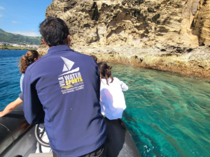 Birdwatching e snorkeling - Vila Water Sports Center - Guida alle Azzorre