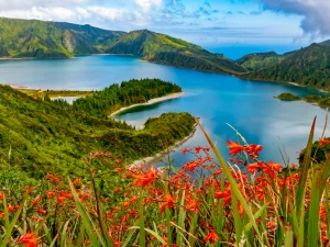 Full Day Private Tour-Safari Azores-Guidetotheazores.
