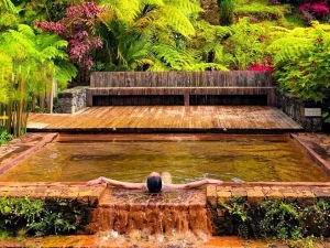 Furnas Night Experience_Into the Wild-Guidetotheazores