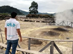 Furnas Tour - Half day-Into the Wild-Guidetotheazores