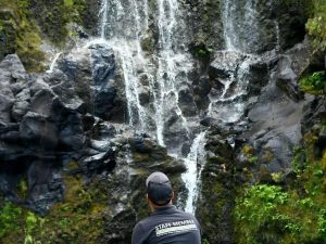 Half-Day Tour – Waterfalls & North - optional swim at Poço do Bacalhau-Experienceoc-Guidetotheazores