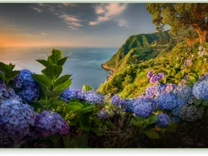 Nordeste - Tour di un giorno intero-Safari delle Azzorre-Guidetotheazores