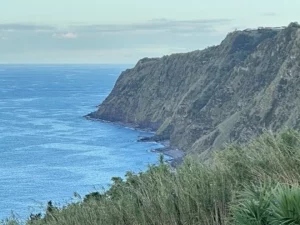 Nordeste - Full Day Tour-Safari Azores-Guidetotheazores