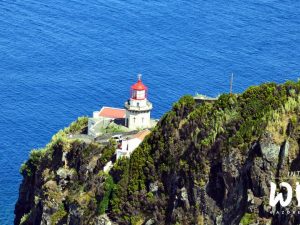 Nordeste-Into the Wild Azores-Guia para os Açores