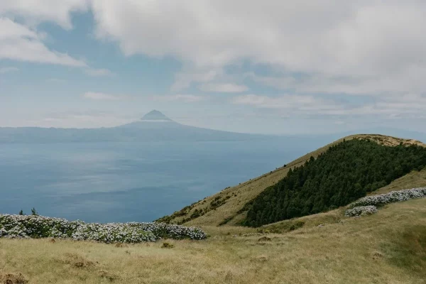 Passeio de dia inteiro a São Jorge-Tripix-Guidetotheazores