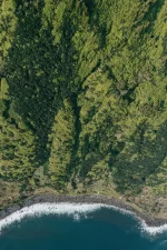 Passeio de dia inteiro a São Jorge-Tripix-Guidetotheazores